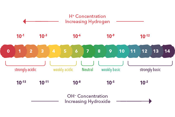 pH Scale | YSI the Ultimate pH Primer